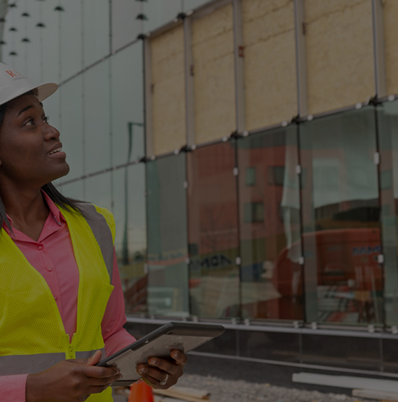 Professional Project Management